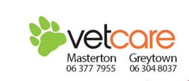 Welcome to Vetcare Masterton, NZ